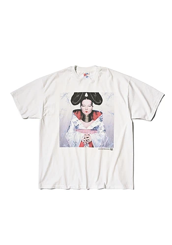 Bjork Homogenic 1990s